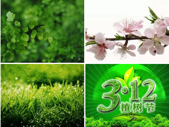 成都插花培训蜀国之声