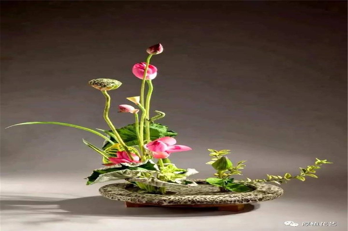 1617241683536194.jpg 微信图片_20210326101808.jpg