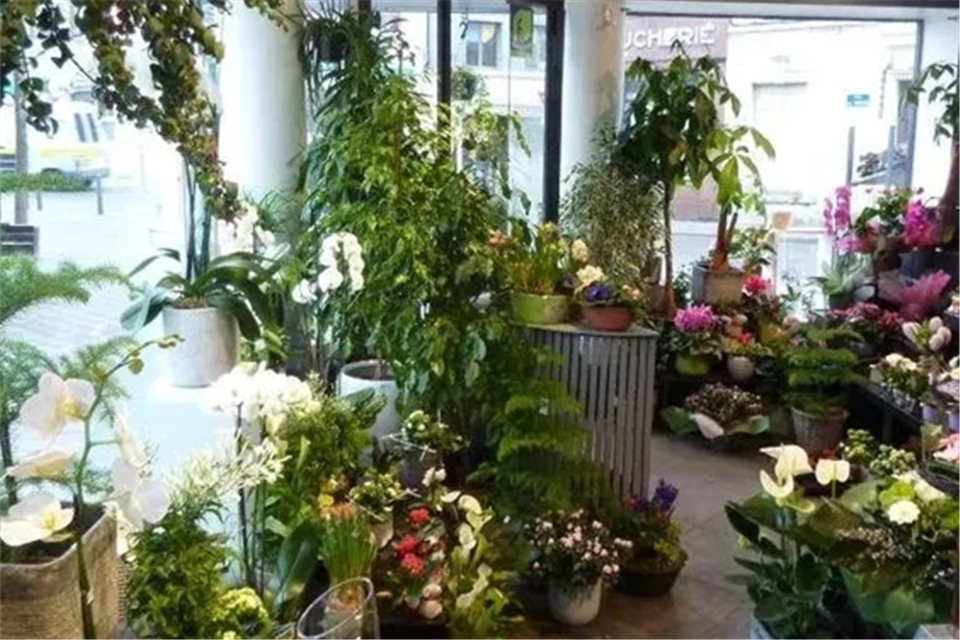 1618023512846942.jpg 微信图片_20201223113702.jpg