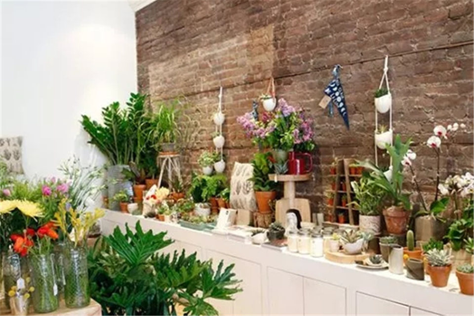 1618023565448813.jpg 微信图片_20201223113711.jpg