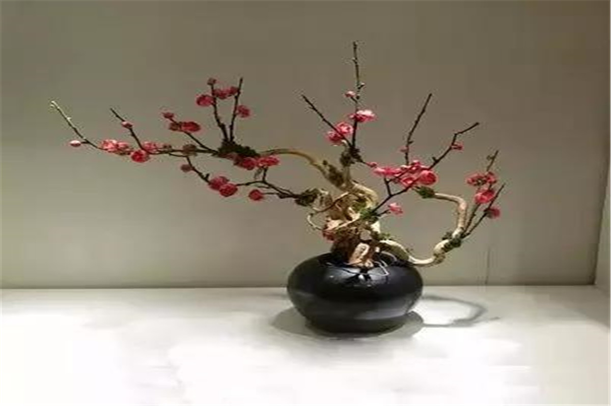 1618797573957362.jpg 微信图片_20210326101817.jpg