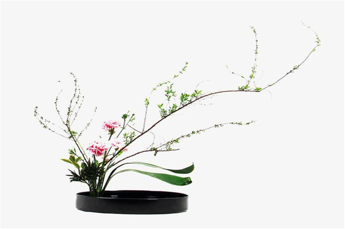 1618797684881755.jpg 微信图片_20210326101923.jpg