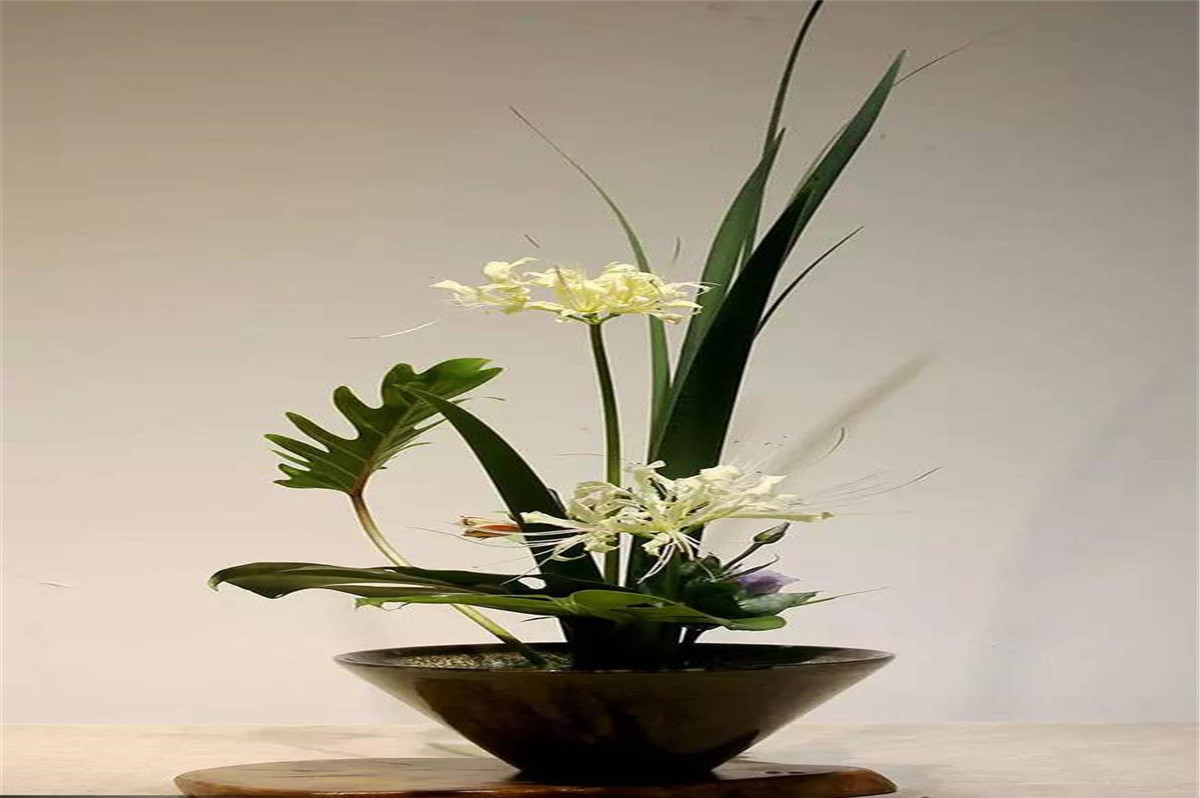 1618797756812079.jpg 微信图片_20210326101824.jpg