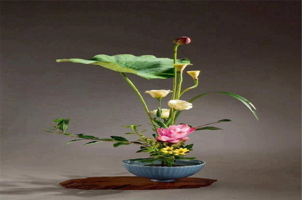 1620698153829365.jpg 微信图片_20210326101830.jpg