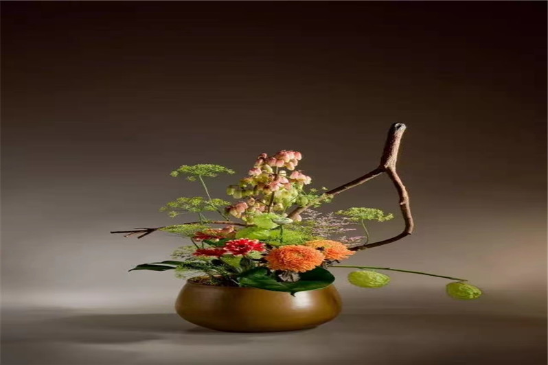 1621586145126442.jpg mmexport1621325493237.jpg