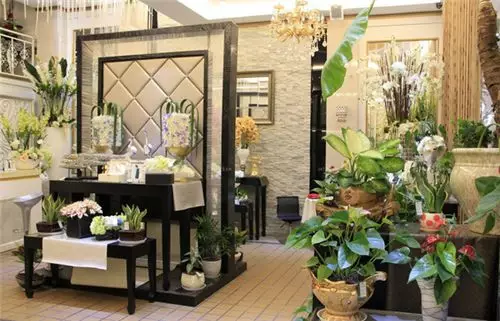 1626250035693911.png 397761559979946601.png