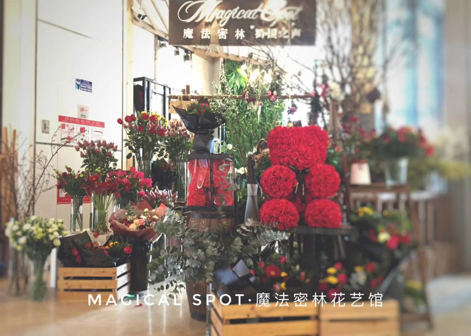 1626405025921752.jpg 116294335520346282.jpg