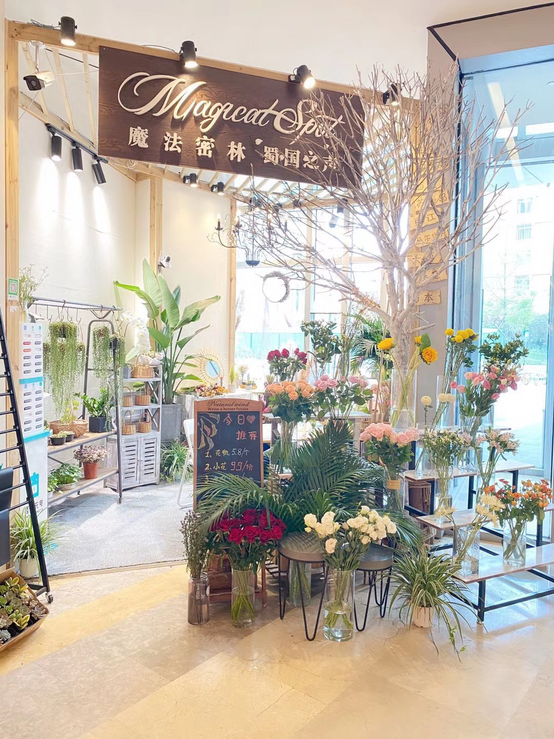 1626405075307738.jpg 573901550458188264.jpg