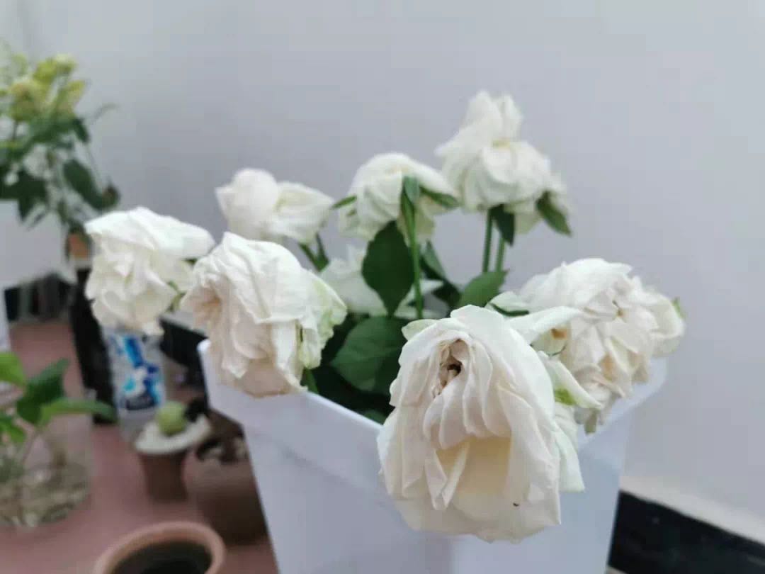 1627441880165254.jpg 微信图片_20210728105450.jpg